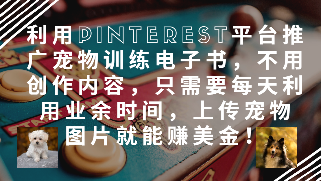 【2025.5.23】利用Pinterest推广宠物训练电子书，推广电子书赚钱，收入675美金