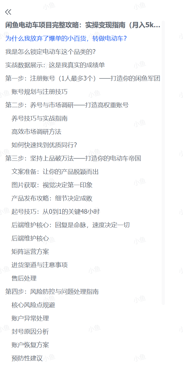 图片[1]-【2025.7.9】闲鱼电动车项目完整攻略：实操变现指南（月入5k+，附详细操作流程）-网创之家