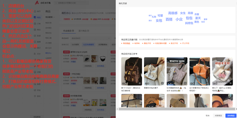 图片[3]-【2025.12.06】如何通过小红书平台查看大盘优质素材＋同行数据-网创之家